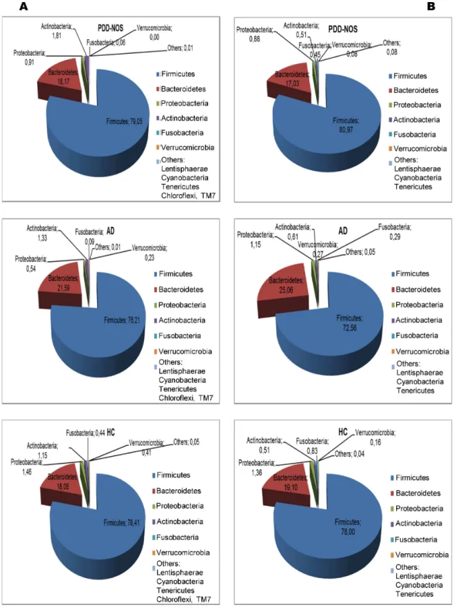 Figure 1.  Total and active bacteria found in feces of children.  Relative abundance (%) of total bacterial composition (16S- (16S-rDNA) (A) and metabolic active bacteria (16S-rRNA) (B) at the phylum level found in the fecal samples of Pervasive Developmen