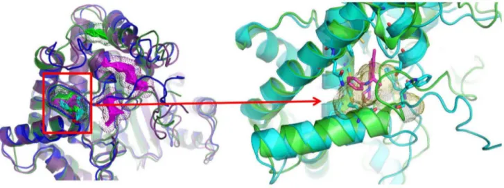 Figure 2. Functionally important structural elements of the PI3K a kinase domain. Grey: C-lobe, mauve: N-lobe, yellow: catalytic loop, orange: activation loop, green: C-terminal region, pink: P-loop
