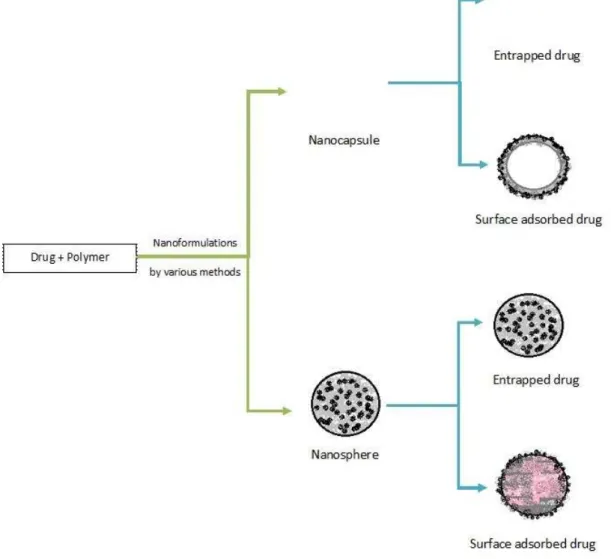 Figure 1: Types of polymeric nanoparticles: According to the structural organization biodegradable nanoparticles are classified as Nanocapsules and  nanospheres