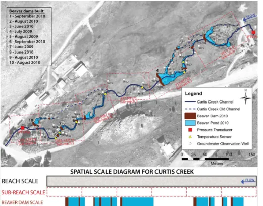 Figure 1. Aerial image from 2006 and beaver dams constructed between 2009 and 2010. The main beaver dams are numbered from 1 to 10 from upstream to downstream and the time of dam construction is noted in the table