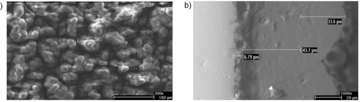 Figure 6. Crystallized coating surface on 316L steel (a) and its cross-sectional section   (b) after 21 days of immersion in a SBF.