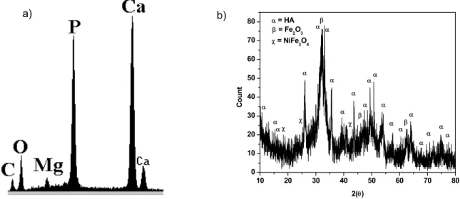 Figure 7. W/A coating  EDX Spectrum on 316L steel (a), and XRD patterns of vitroceramic substrate surface  on 316L steel (b), both after 21 days of immersion in a SBF.