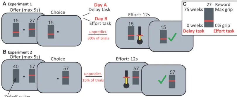 Fig 1. Task: Effort and delay discounting task. A, In Experiment 1, participants chose between a higher-reward/higher-cost (HRHC) option and a lower- lower-reward/lower-cost option (LRLC; reward magnitude = number; cost level = height of red bar)