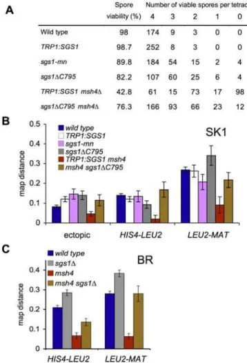 Figure 2. Loss of Full Sgs1 Activity Restores Spore Viability and Crossing Over to zmm Mutants