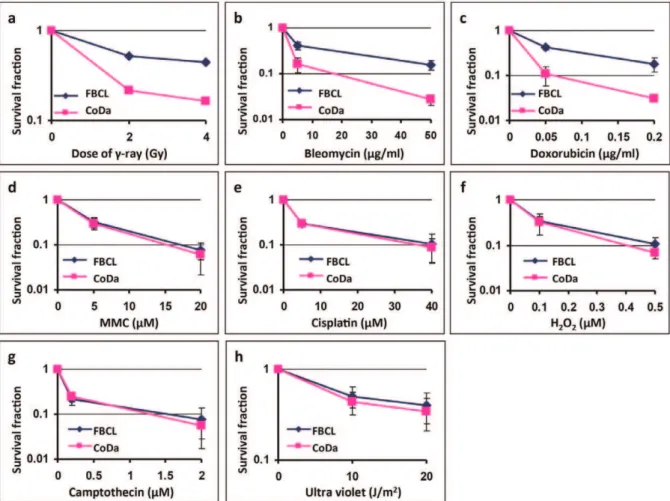 Figure 7. Cellular sensitivity of CoDa cells to various DNA damaging agents. The cellular sensitivity of CoDa cells was assessed using growth inhibition assay with continuous drug treatment (see Materials and Methods for details), including bleomycin (b), 