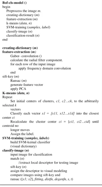 Fig. 2.  Algorithm for Bag of feature based classification 
