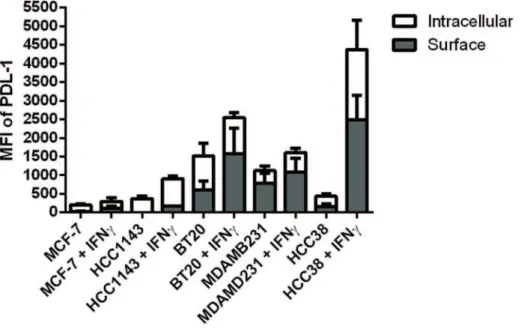 Figure 2. PD-L1 protein localization at baseline and post IFNc treatment. PD-L1 protein expression increases with treatment, but there does not appear to be a major shift in protein localization patterns (proportion of surface vs