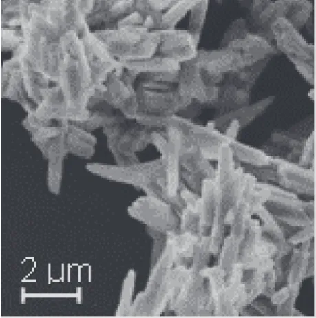 Fig. 2. Scanning electron microscopy of powder of snail shell (aragonite) 