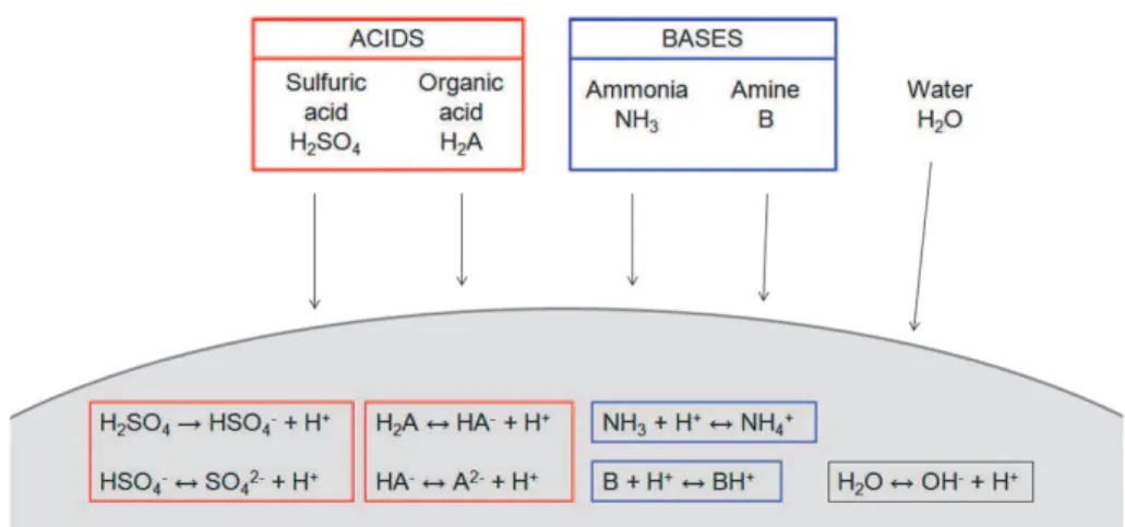 Fig. 1. Gas-liquid system modelled in this study with MABNAG. Two acids, two bases and water condense on the particle