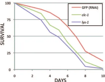 Table 2. Percent dauer formation of daf-8(m85) on pathogenic bacteria at 22uC.