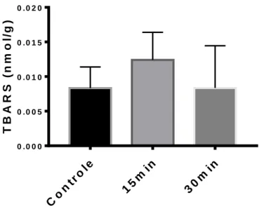 Figura 7. Concentração de TBARS em fígado de girinos expostos a água com hipóxia  severa (0,3 mg/L)