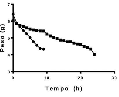 Figura 1. Perda de peso (g) por hora de desidratação. 