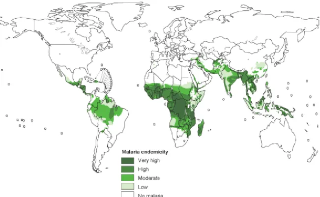 Figura 1 - Distribuição global do risco de transmissão da malária, 2011. 