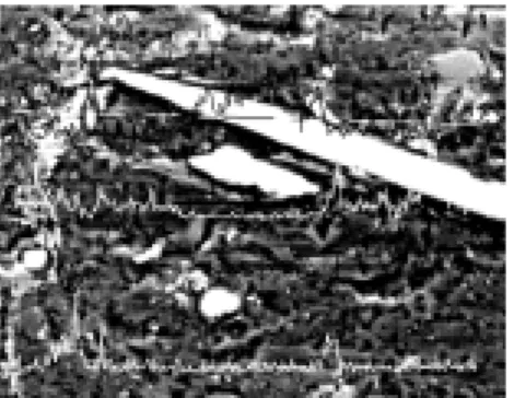 Fig. 5 Line scanning of elements in the composites
