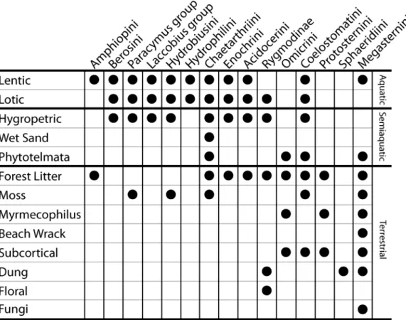 Figure 1. Distribution of habitat types across the major clades of water scavenger beetles.