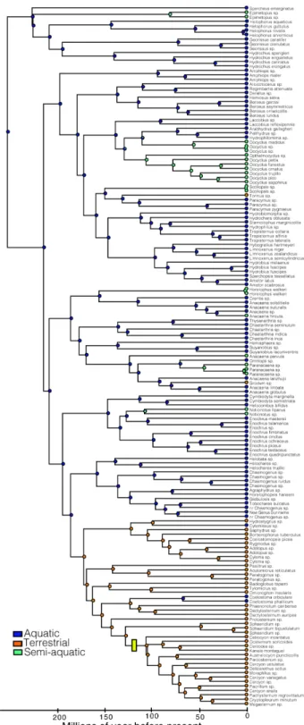 Figure 5. Ancestral character reconstructions of habitat transitions on the time-calibrated phylogeny of Hydrophilidae.