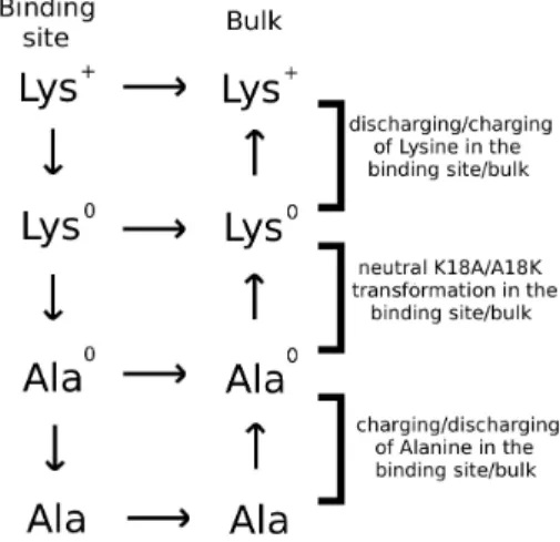 Figure 2. The K18A mutation does not change the binding modes of ShK to Kv1.1 and Kv1.3 channels