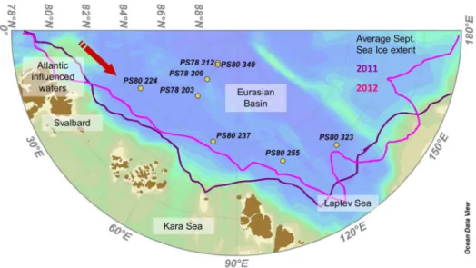 Figure 2. Distribution of aggregates in melt ponds. Degraded pennate aggregates in cryoconite holes at the bottom of a partially open melt pond at station PS78/3_212 (A)