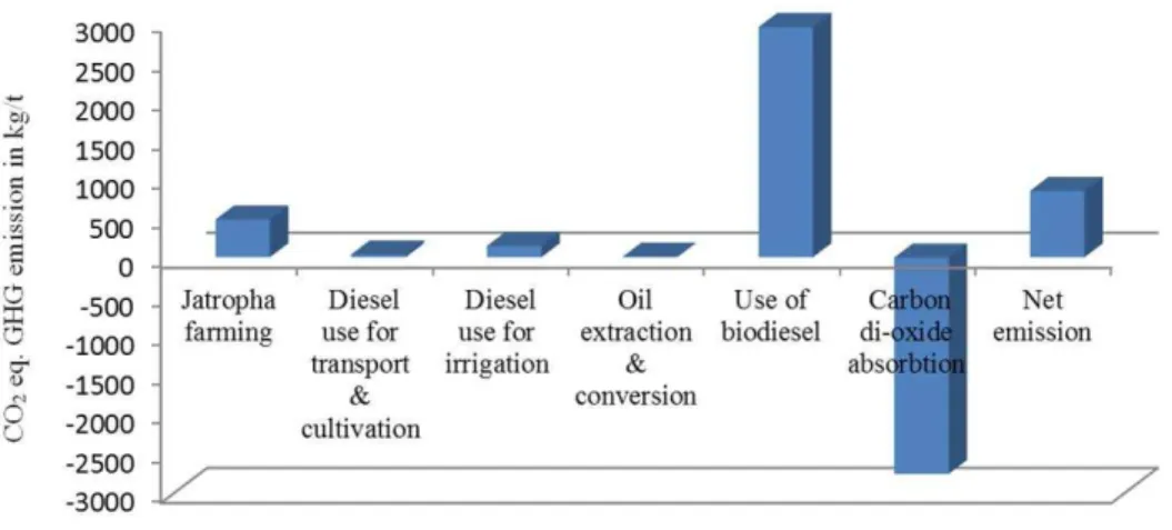 Fig. 3: CO 2  production in every step of life 