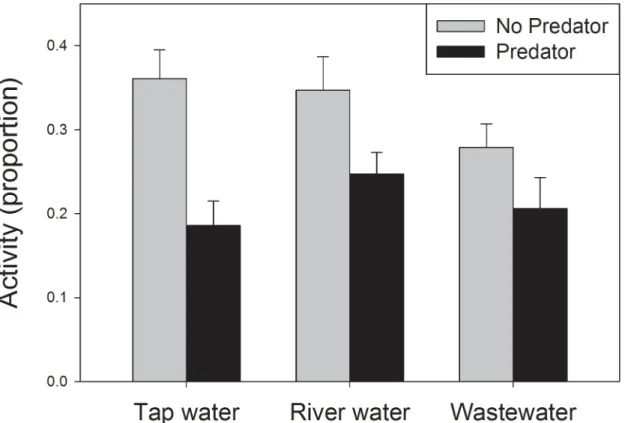 Fig 1. Effect of predator cues on activity of gray treefrog tadpoles. Tadpoles were housed in water drawn from three sources