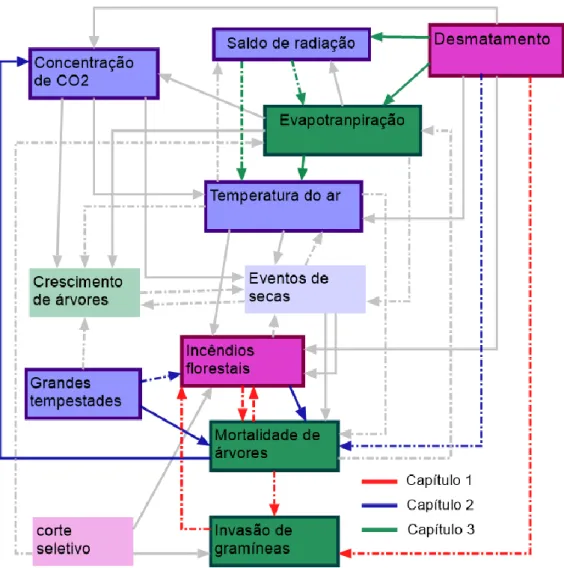 Figura  1  -  Modelo  conceitual  ilustrando a interconexão entre  as mudanças  de uso  da terra  e  efeitos  para  processos  ecossistêmicos