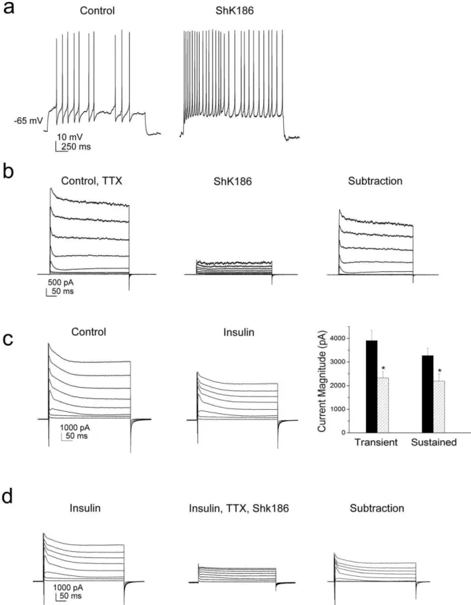 Figure 7. Insulin inhibits voltage-activated currents in adult mitral cells that are carried predominantly by Kv1.3 channels