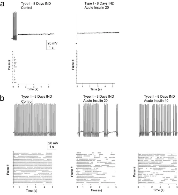 Figure 8. Insulin intranasal delivery (IND) changes basal firing behavior and leads to a reduced spike frequency following acute insulin stimulation