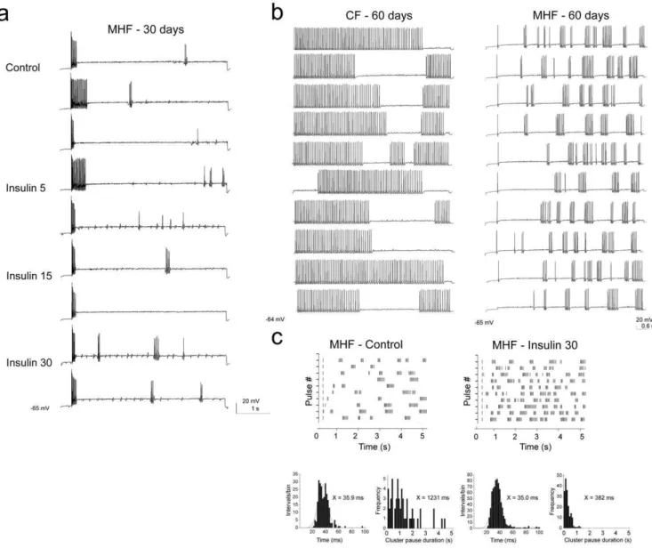 Figure 9. Diet-induced obesity affects action potential firing behavior in adult mitral cells and induces resistance to acute insulin stimulation