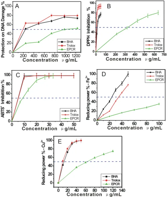 Figure 3. The dose response curves of ECRP in the antioxidant assays: (A) protective effect against DAN damage; (B)DPPH· 