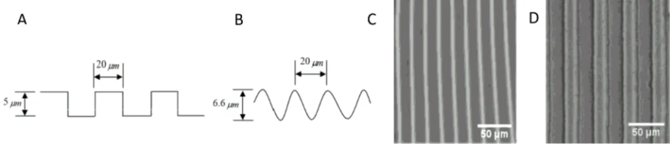 Figure 1. Geometry of micropatterns. (A) Micro-groove cross-sectional figure; (B) Micro-wave cross-sectional figure; (C) 1D 20 mm wavelength wavy pattern; (D) 1D 20 mm groove length groove pattern.