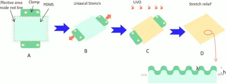 Figure 2. Illustration of the fabrication process of microwavy patterns. (A–D) Uniaxial stretching of PDMS films at various mechanical stretch settings to generate microwavy patterns.