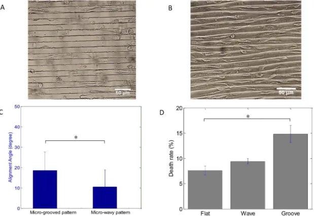 Figure 8. Shear flow testing via a microfluidic based testing platform. (A) Shear stress of 1 dyn/cm 2 was applied for 12 min; (B) Diagram represents shear stress level applied, 2 min at 0.25 dyn/cm 2 , 2 min at 0.5 dyn/cm 2 , 2 min at 1 dyn/cm 2 , 2 min a