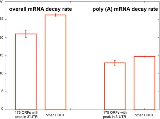 Fig 6. Comparison between overall mRNA decay rates (left) and poly(A) mRNA decay rates (right) in the 175 ORFs containing a 3 0 UTR peak against all the other ORFs (data from [38])