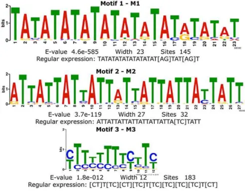 Fig 5. Significantly recurrent motifs identified by MEME algorithm [26] on peak regions