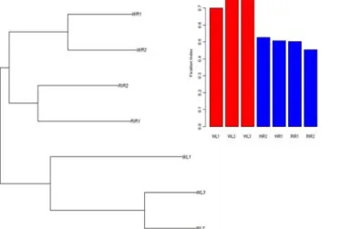 Fig 1. Reynolds ’ genetic distances population tree of seven commercial breeds and histogram of fixation index for each line.