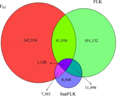 Fig 5. Allele frequency in different breeds for 2 Mbp around the intended region. Red box indicates, for (A) TGFB2 gene (Chr3: 18,690,003–