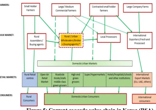 Figure 5: Current avocado value chain in Kenya (RSA)