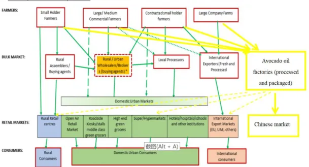 Figure 6: AVOCHINA’s new avocado value chain in Kenya