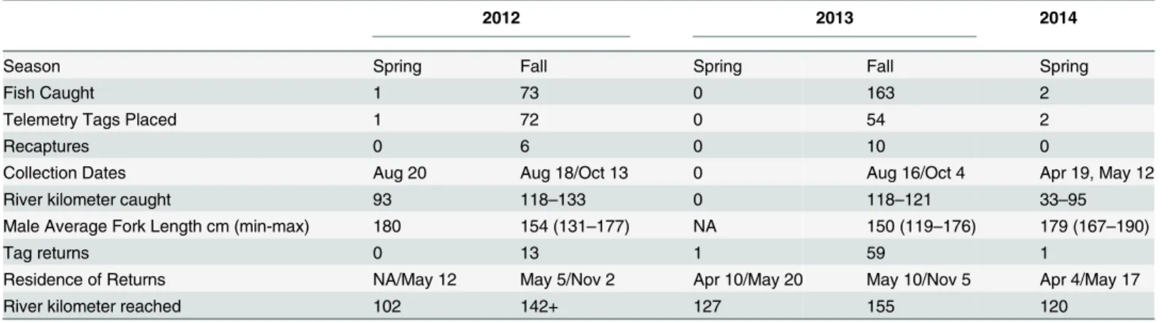 Table 1. Comparison of spring and fall Atlantic Sturgeon collections in the James River from 2012 through the spring of 2014.