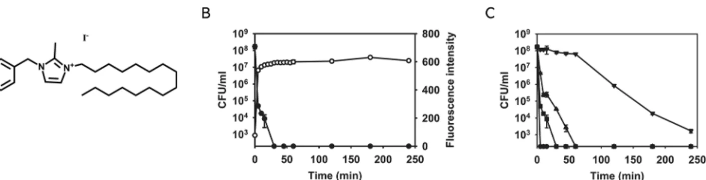Fig 4. NH125 kills MRSA persisters by inducing membrane permeabilization. (A) The chemical structure of NH125