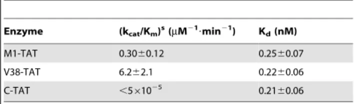 Table 1. Overall cleavage rate [(k cat /K m ) s ] and binding affinity (K d ) in cleavage reactions of tat37 with RNase P ribozymes.
