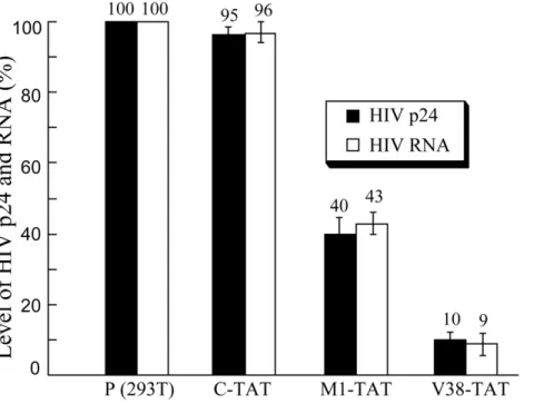 Figure 6. Northern analyses of the expression of M1GS ribozymes from the RNA fractions isolated from parental H9 cells (-, lane 4 and 8) or different cloned cell lines that expressed V38-TAT (lanes 1 and 5), M1-TAT (lanes 2 and 6), and C-TAT (lanes 3 and 7
