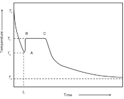 Figura 1- Representação da variação de temperatura no processo de congelação (Retirado de Evans,J.A