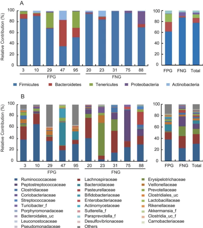Figure 3. The composition of fecal microbiota in 10 Koreans. The relative contribution of dominant phyla (A) and families (B) identified from pyrosequencing data is shown (individual samples are on the left panels and pooled samples are on the right panels