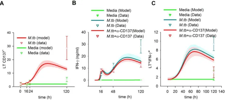 Figure 8. Predictions of the alternative model with indirect regulation over TL. A, CD137 expression on T cells; B, IFN-c levels in media; C, TL intracelulIar IFN-c expression