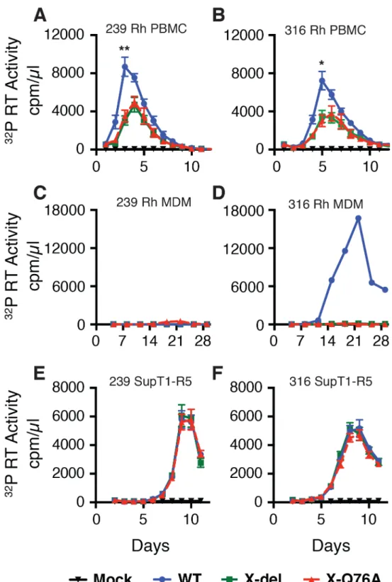 Fig 2. The replication of Vpx defective SIV mutants is attenuated in rhesus macaque mononuclear cells.