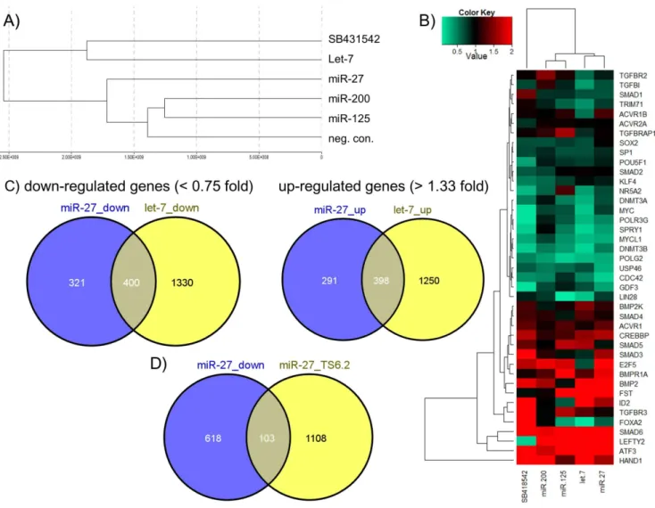 Figure 5. Transcriptome analysis of human embryonal carcinoma cells (NCCIT) post transfection with miR-27, let-7, miR-125 or miR- miR-200