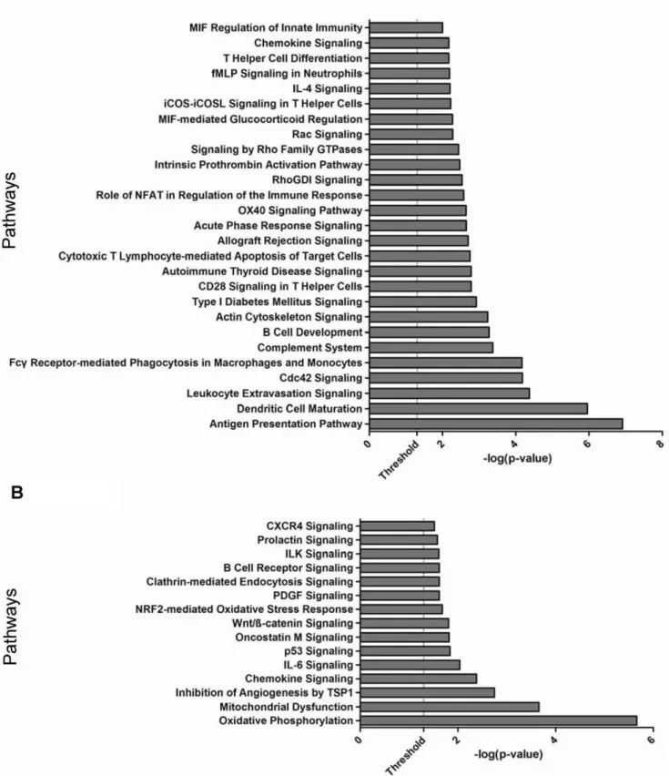 Figure 3. Pathway enrichment analysis of differentially expressed genes. A. Genes differentially expressed only in EPS as compared to PD and Uremic groups
