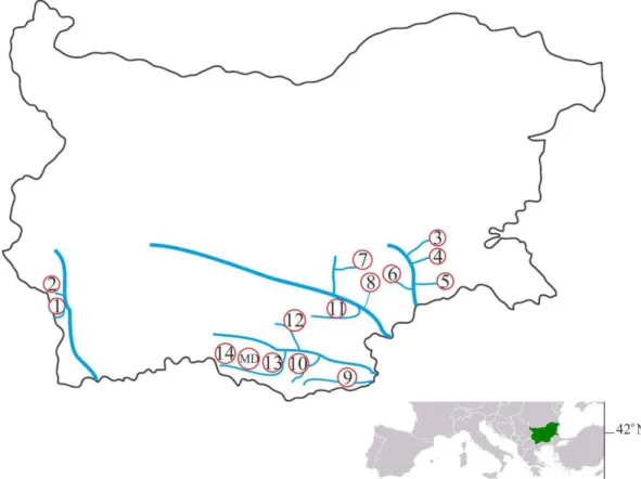 Fig 1. Location of the studied Mediterranean rivers in Bulgaria. Sites: 1-Brezhanska, 2-Stara,  3-Dereorman, 4-Popovska, 5-Melnishka, 6-Manastirska, 7-Sokolitsa, 8-Yerusalimovska,  9-Byala, 10-Krumovitsa, 11-Biserska, 12-Perperek, 13-Varbitsa before Studen
