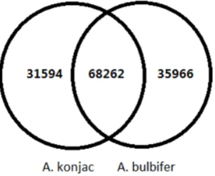 Figure 2. Comparison of the unigenes from A. konjac and A.